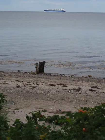 Halshuisene + Enebaerodde Beach (Denemarken)